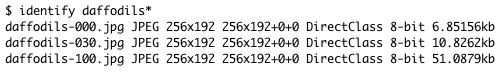 output of identify command